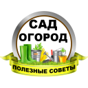 Скачать  Сад и огород Полезные советы