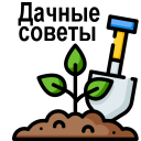 Скачать  Сад и огород полезные советы