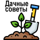 Скачать Сад и огород полезные советы даёт садовод