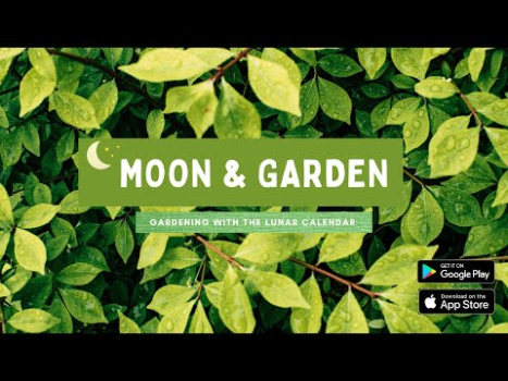Скачать Moon & Garden Стиль жизни для Андроид скриншот 8