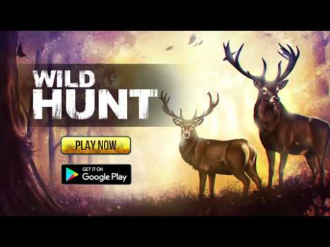 Wild Hunt: игры про охоту