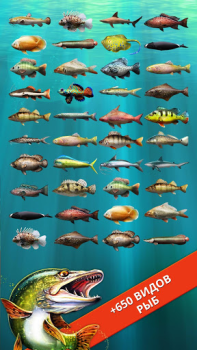 Скачать Let's Fish: Симулятор рыбалки Симуляторы для Андроид скриншот 3