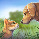 Скачать  Pet World: приют для животных
