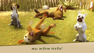 Скачать DogHotel – играйте с собаками Симуляторы для Андроид скриншот 3