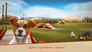 Скачать DogHotel – играйте с собаками Симуляторы для Андроид скриншот 5