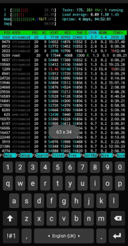 Putty SSH