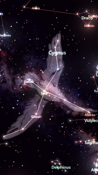Скачать Star Tracker - Mobile Sky Map Образование для Андроид скриншот 2