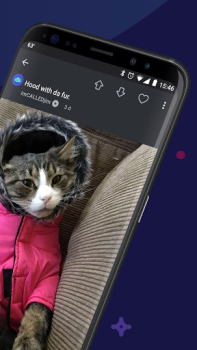 Скачать Imgur: Funny Memes & GIF Maker Фотография для Андроид скриншот 2
