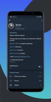 Скачать BGram Связь для Андроид скриншот 2