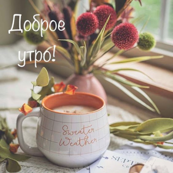 Скачать Доброе утро Добрый вечер Развлечения для Андроид скриншот 3