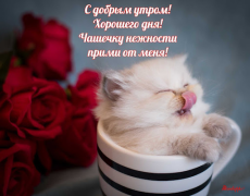 Скачать Прикольные с добрым утром Развлечения для Андроид скриншот 2