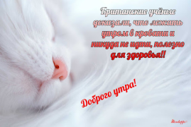 Скачать Прикольные с добрым утром Развлечения для Андроид скриншот 5
