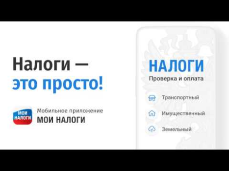 Скачать Мои налоги по ИНН - налоги РФ Финансы для Андроид скриншот 8
