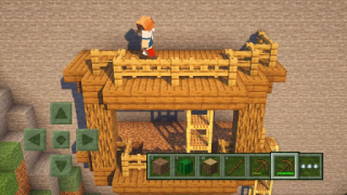 Craft World - Master Block 3D
