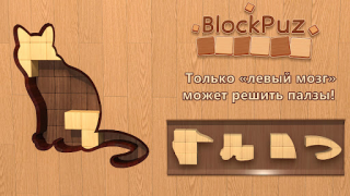 Скачать BlockPuz: вуди блок пазл Головоломки для Андроид скриншот 6
